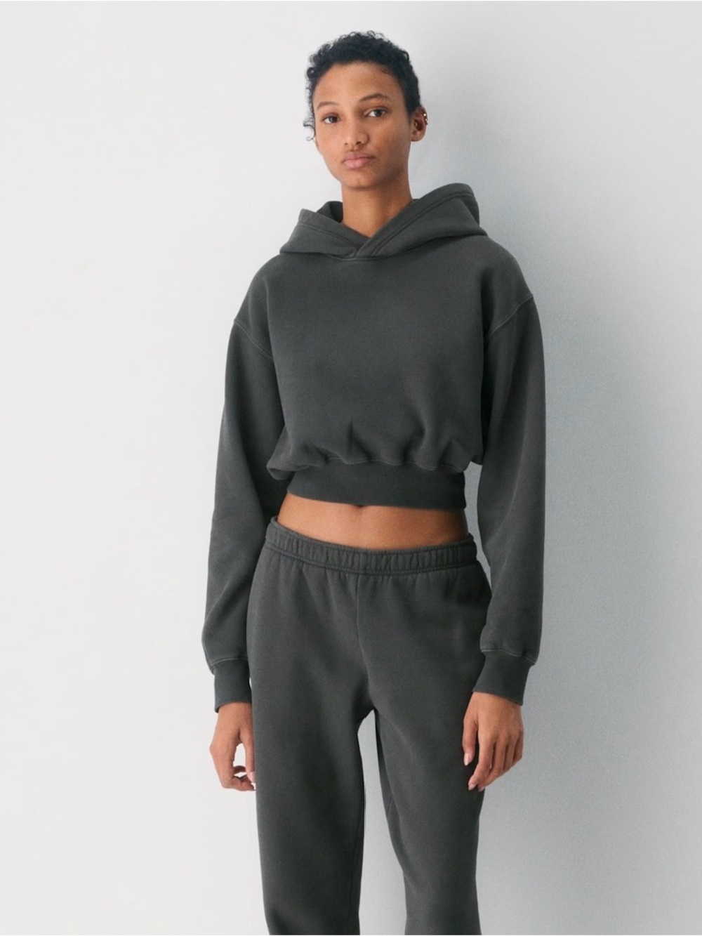 TNA Aritzia Cropped Hoodie